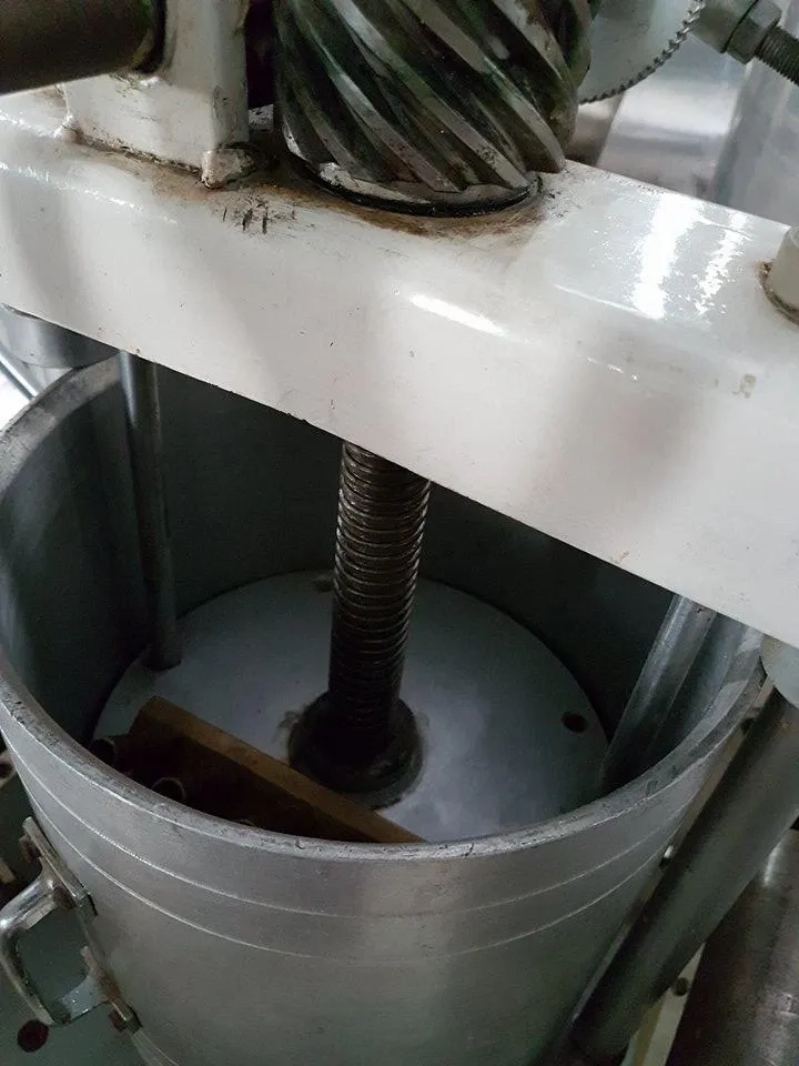 ravioleteira-para-60-kgs-longo-e-paniz