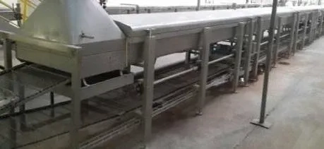 linha-de-macarrao-instantaneo-chinesa