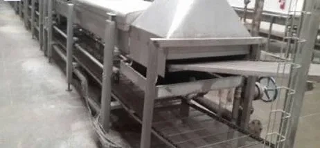 linha-de-macarrao-instantaneo-chinesa