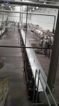 linha-de-macarrao-instantaneo-chinesa