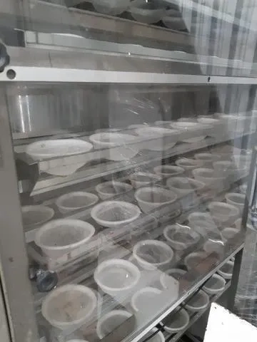 sistema-de-panificacao-de-pao-frances-pre-pizza-pao-de-forma-panetone-marca-argental