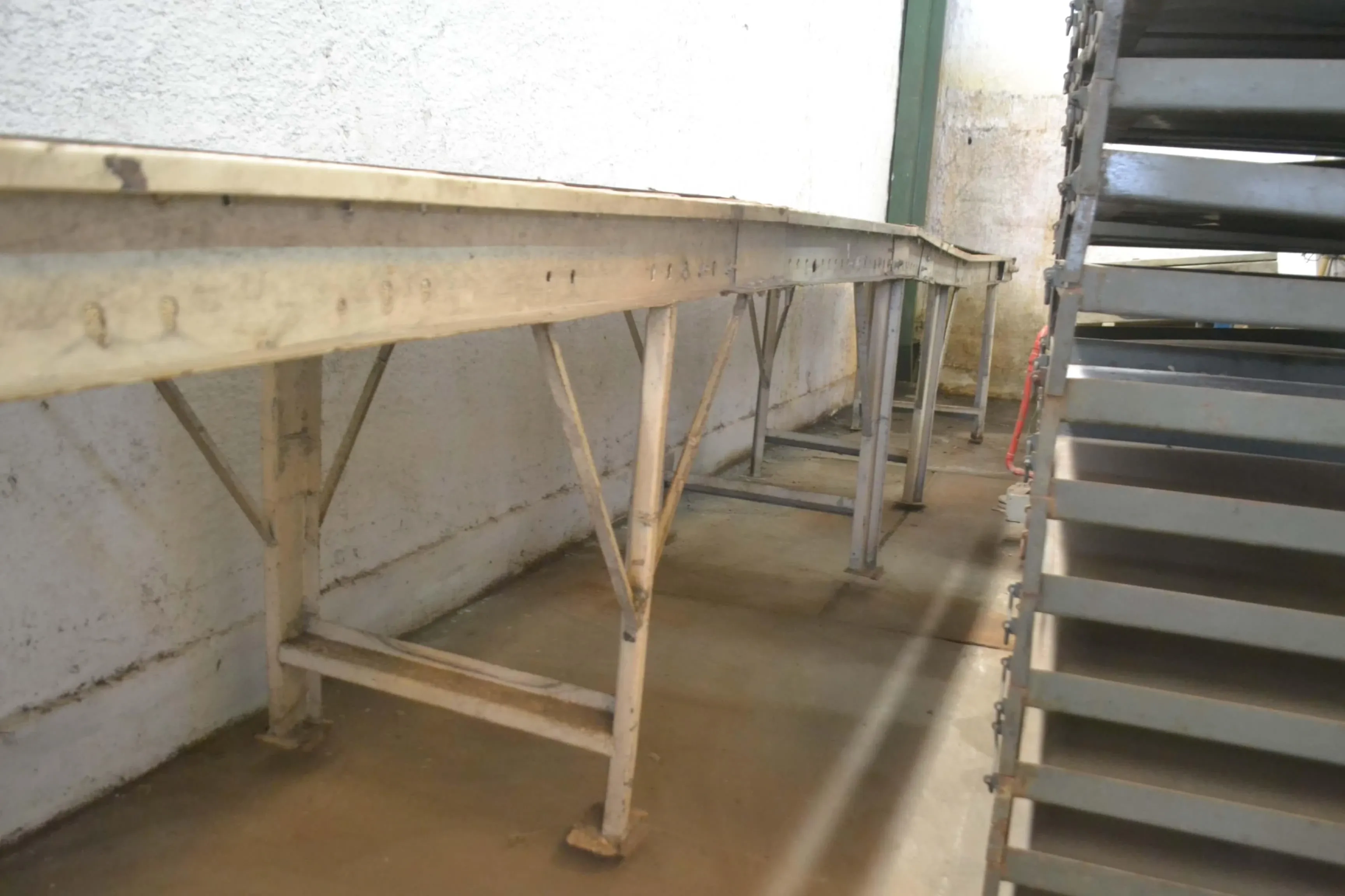 esteira-transportadora-700-x-8500-mm