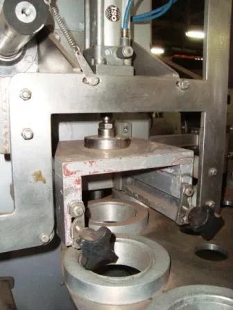 envasadora-rotativa-para-pastosos