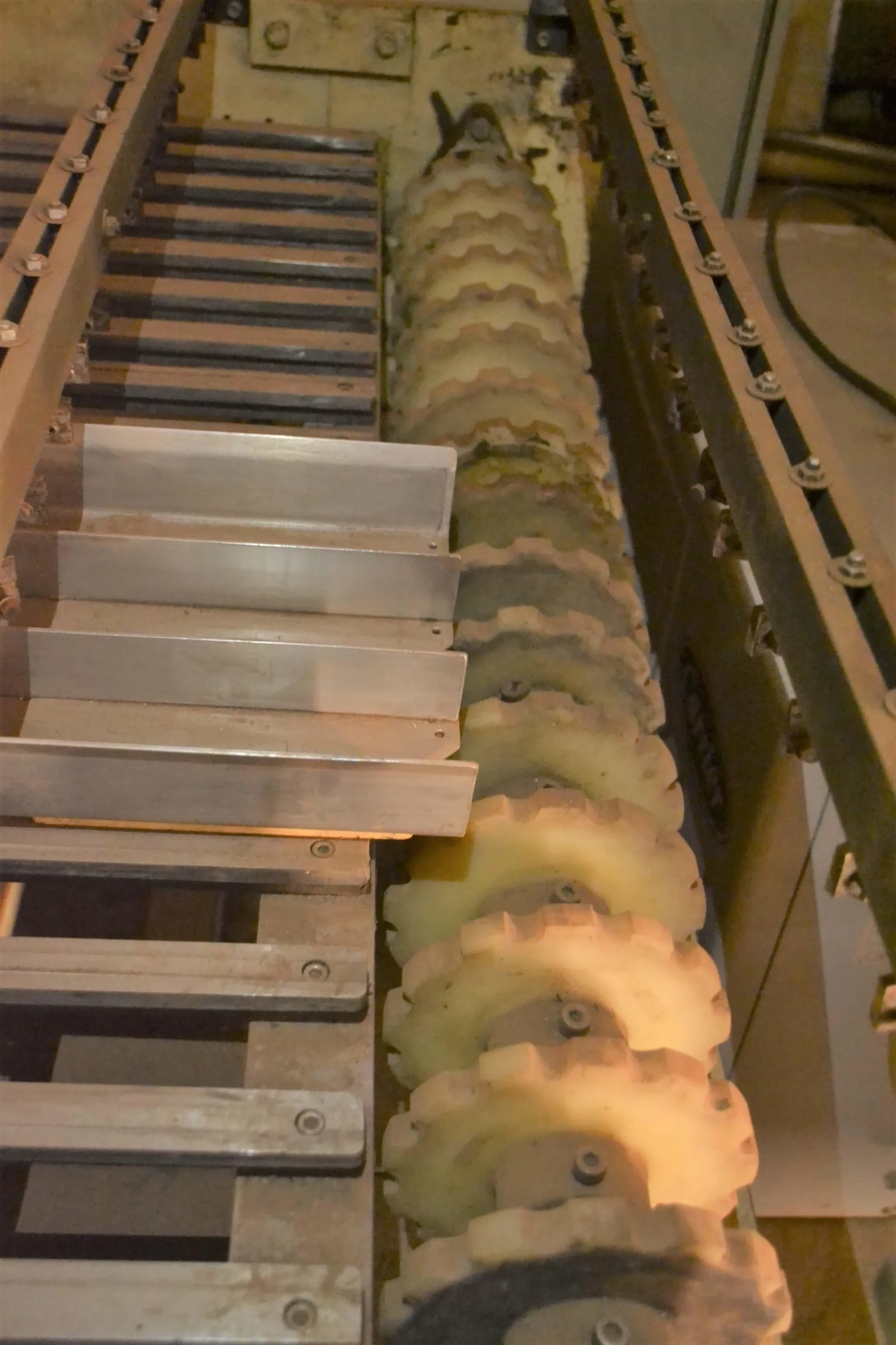 multiplicador-de-biscoitos-para-linha-de-embalagens