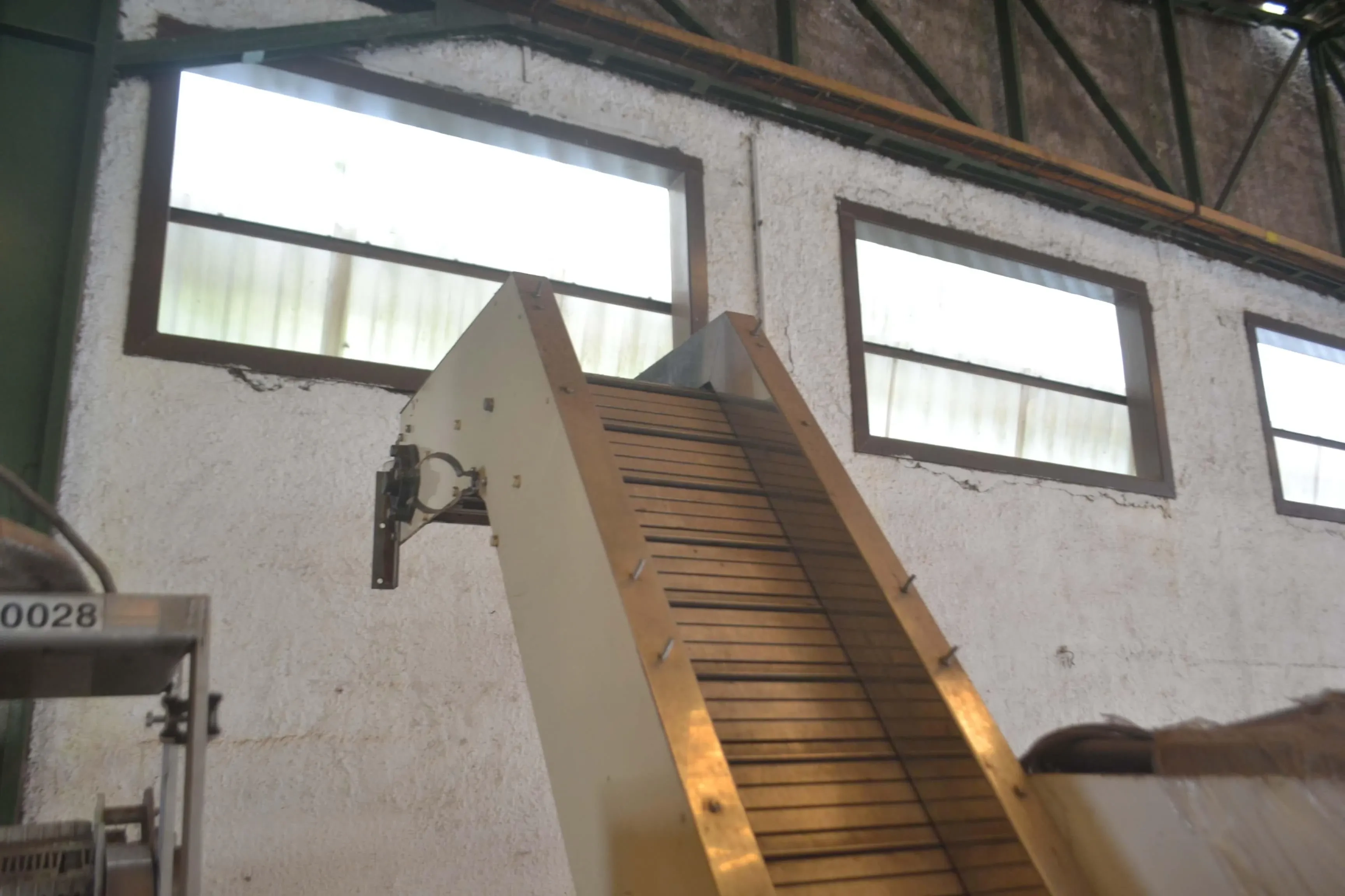 esteira-girafa-500-x-2500-mm