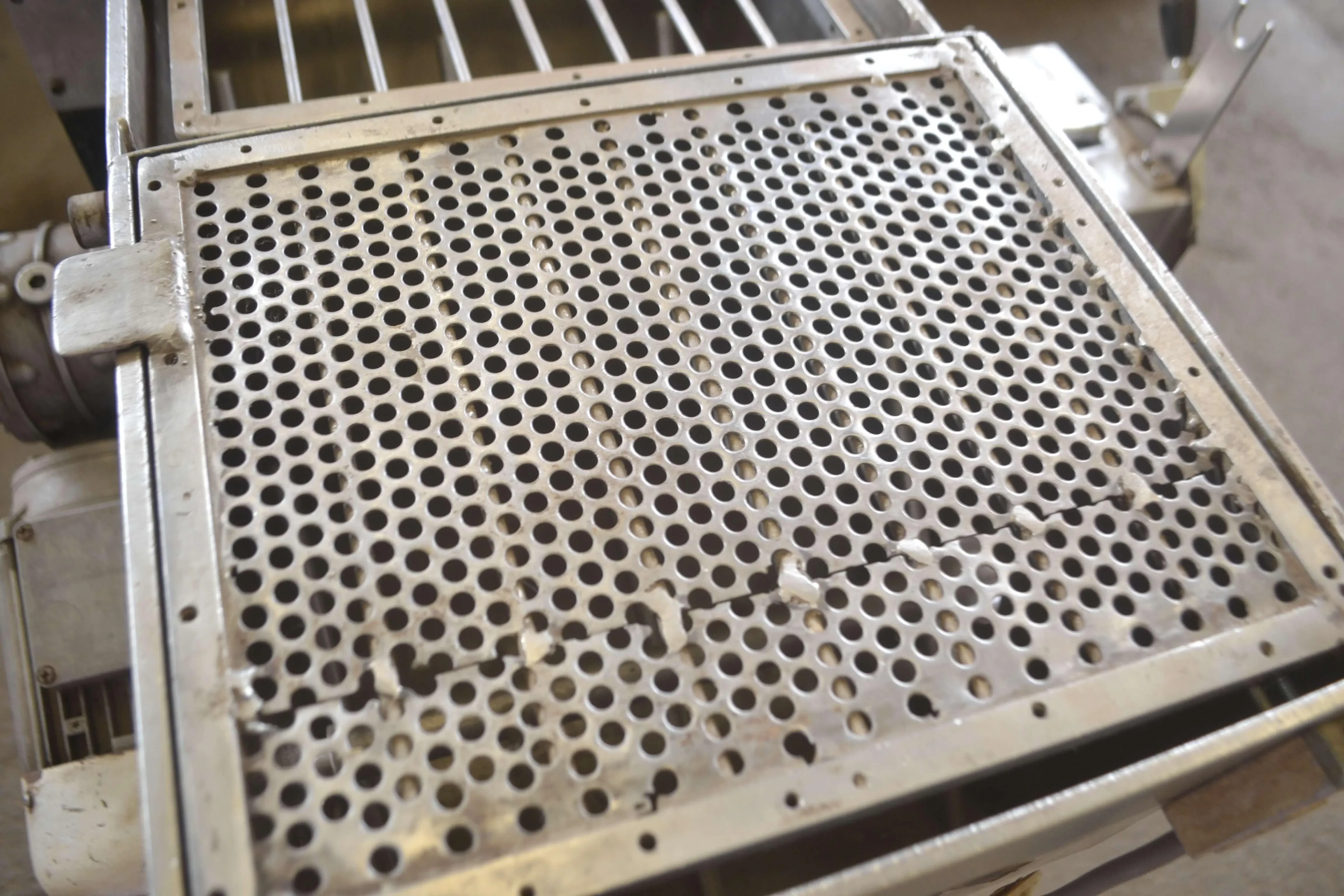 masseira-esfolhadeira-la-monferrina-capacidade-50-kg-h