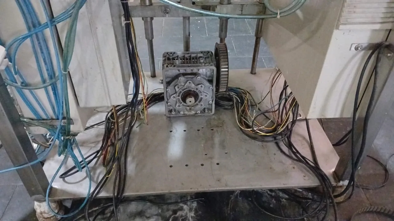 envasadora-linear-com-6-pistoes-marca-nelpas