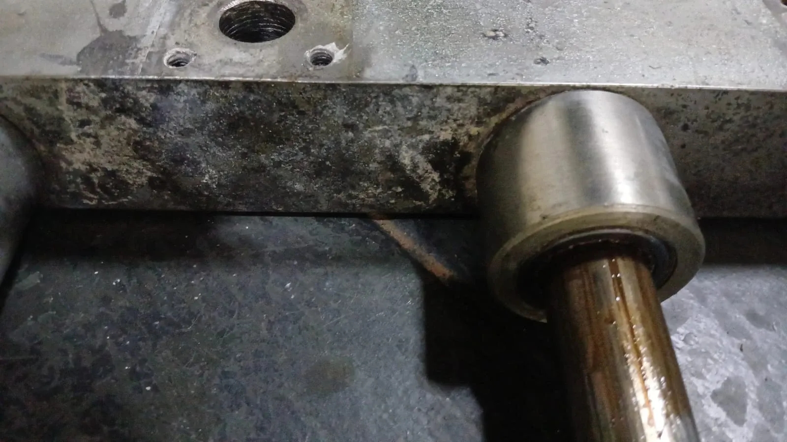 envasadora-linear-com-6-pistoes-marca-nelpas