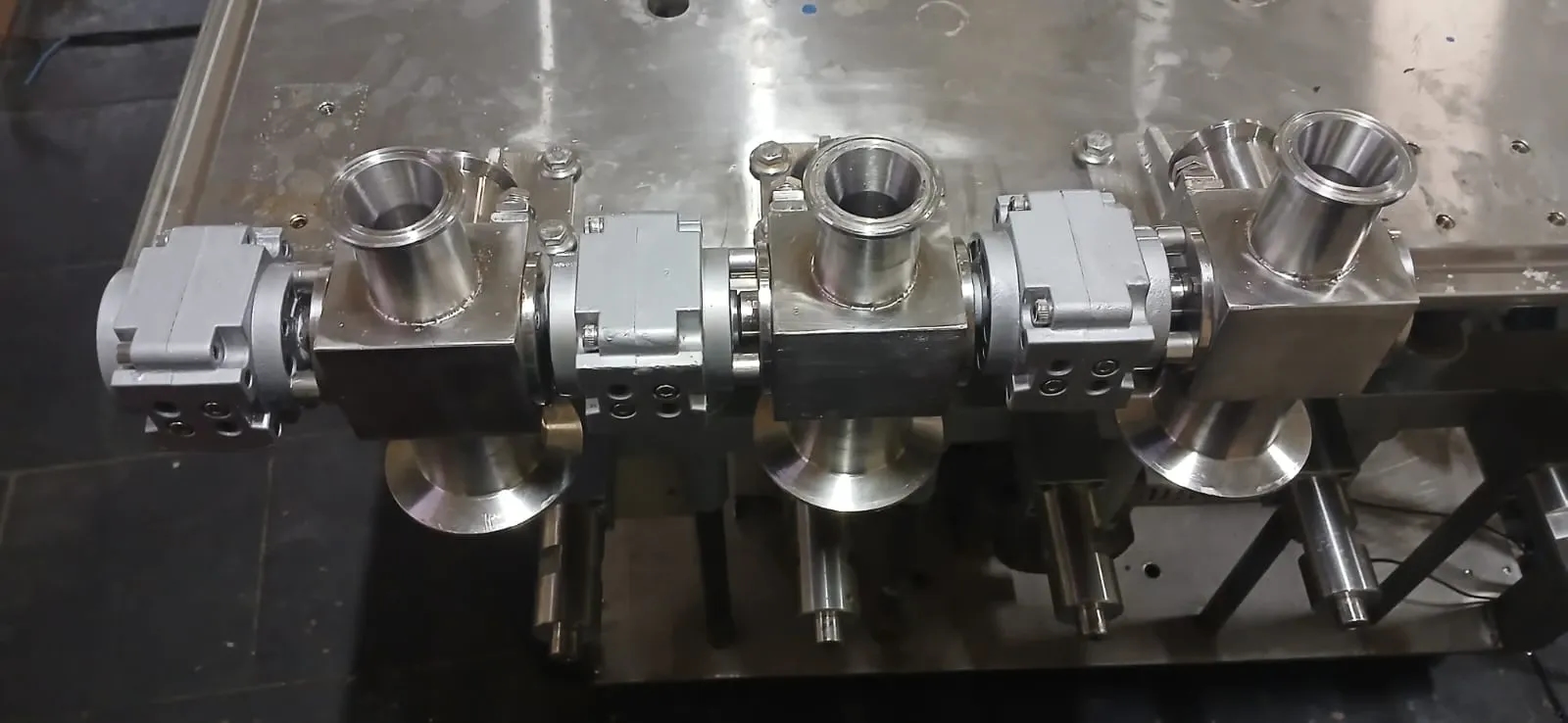 envasadora-linear-com-6-pistoes-marca-nelpas