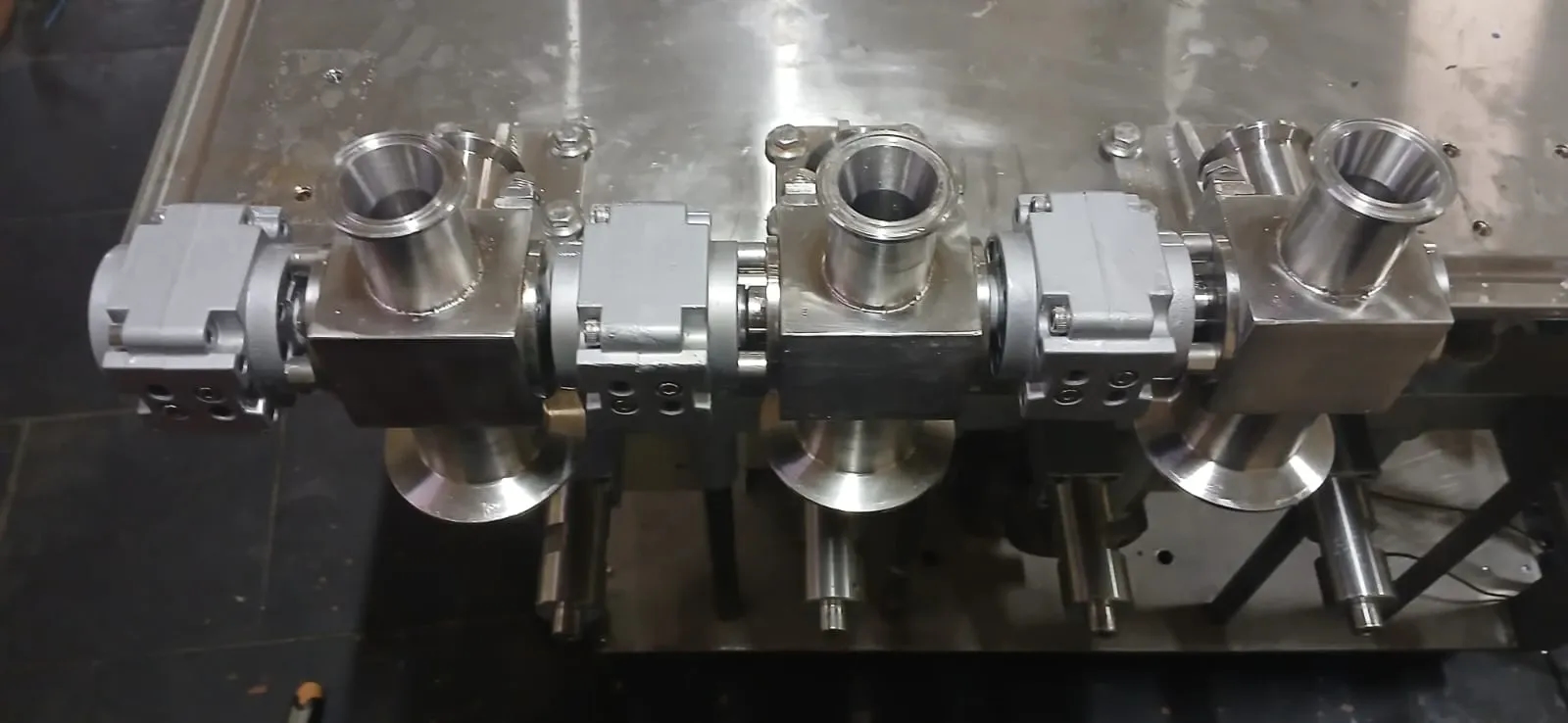 envasadora-linear-com-6-pistoes-marca-nelpas