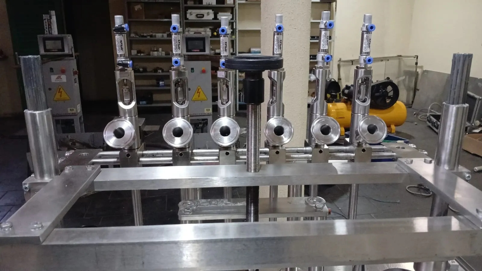envasadora-linear-com-6-pistoes-marca-nelpas