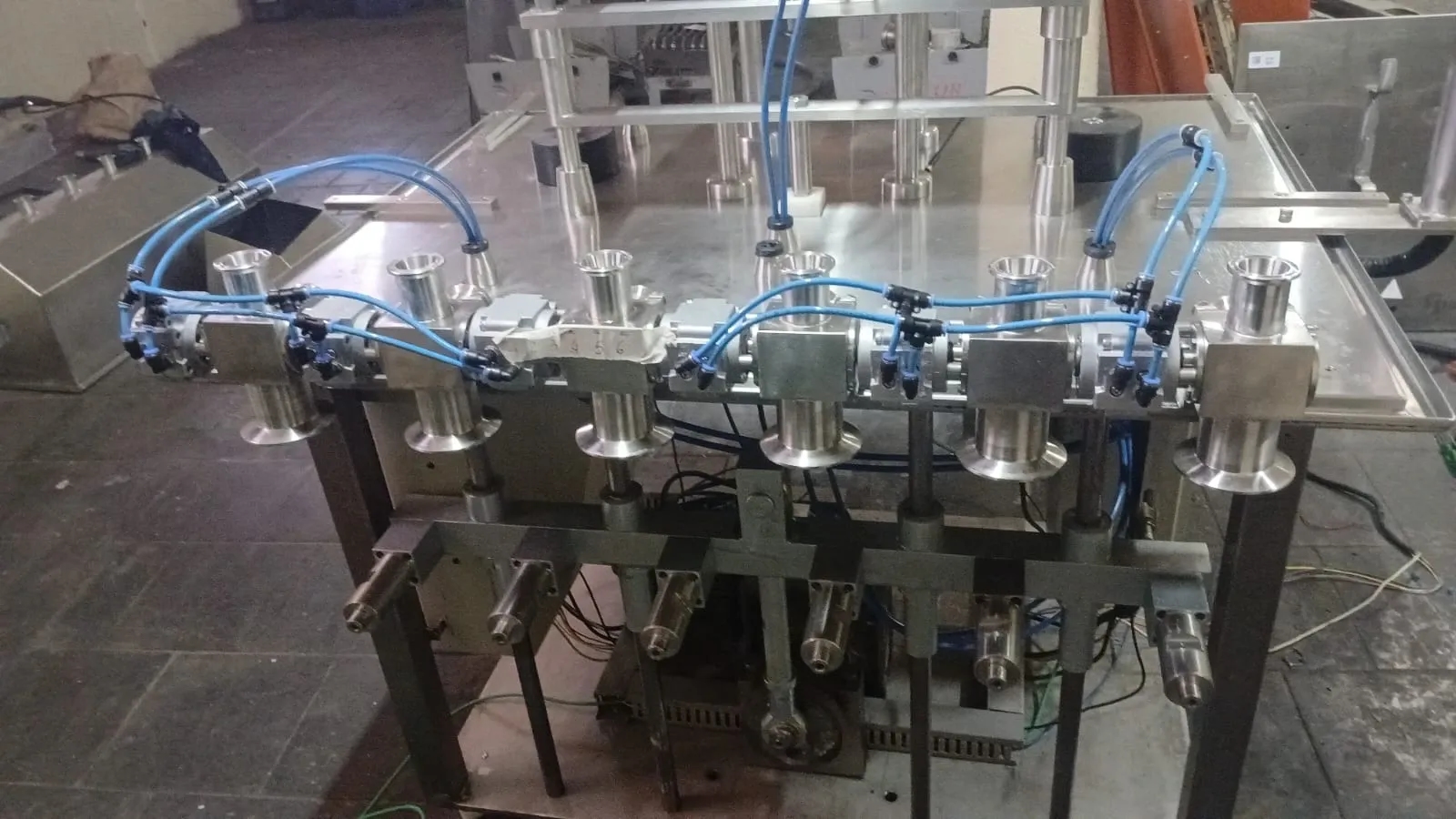 envasadora-linear-com-6-pistoes-marca-nelpas