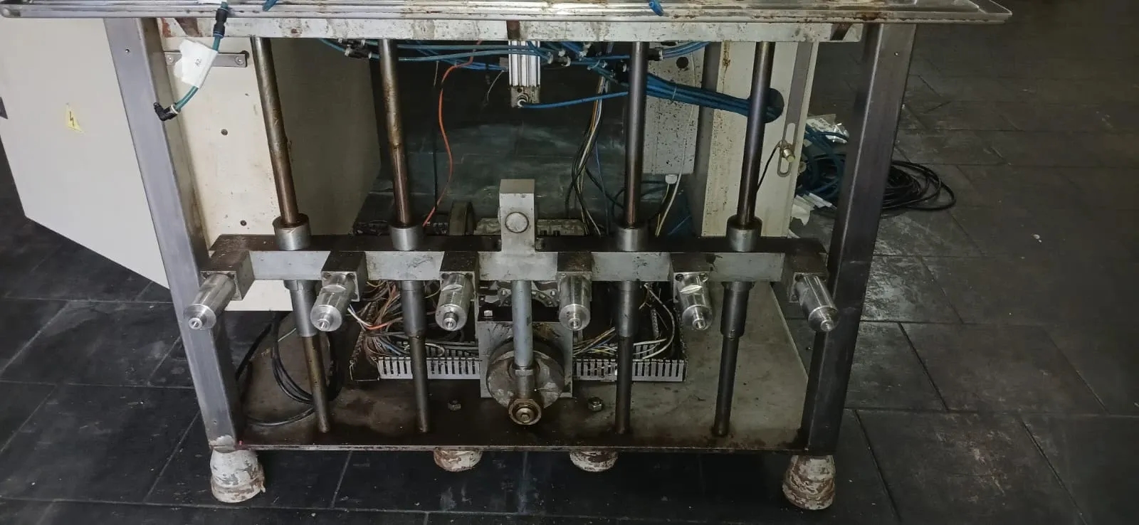 envasadora-linear-com-6-pistoes-marca-nelpas