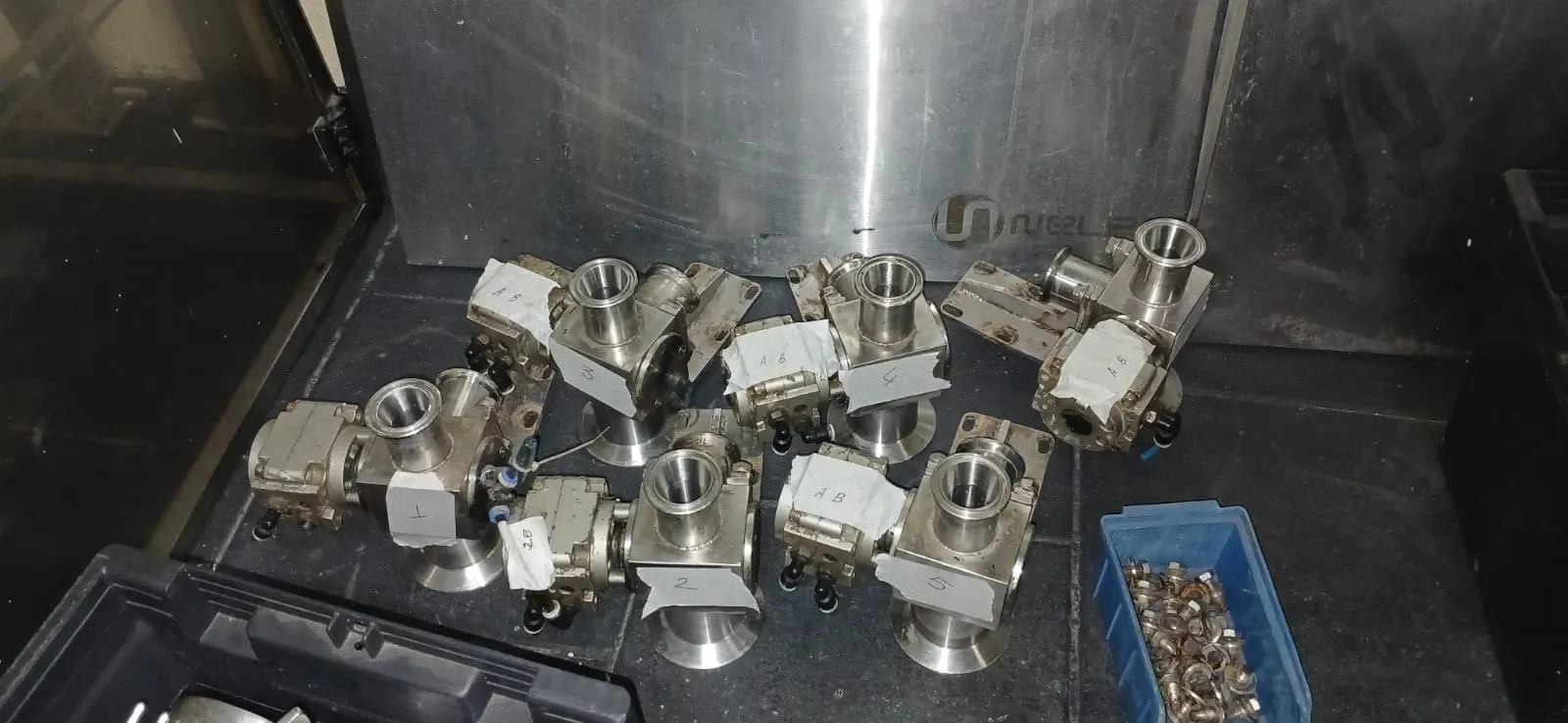 envasadora-linear-com-6-pistoes-marca-nelpas