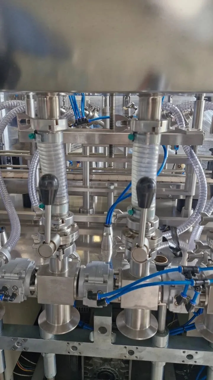 envasadora-linear-com-6-pistoes-marca-nelpas