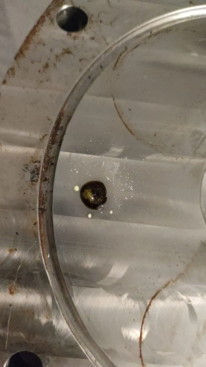 bomba-de-lobulos-em-aco-inox-316-marca-waukesha-cherry-burrell