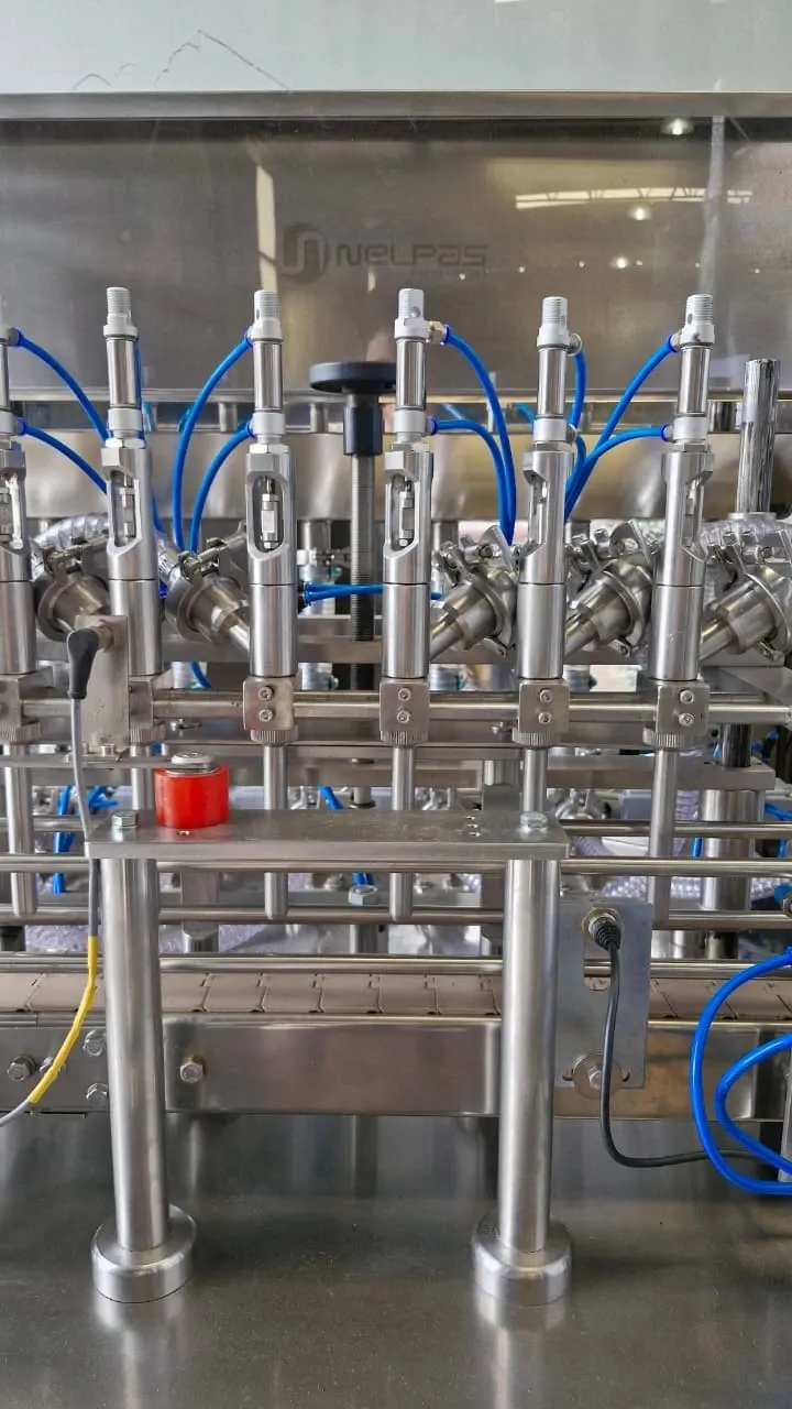 envasadora-linear-com-6-pistoes-marca-nelpas