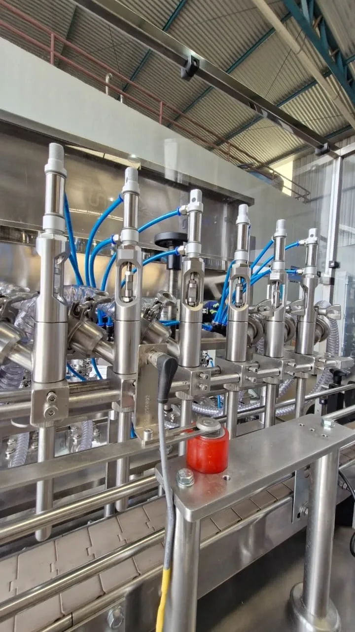 envasadora-linear-com-6-pistoes-marca-nelpas