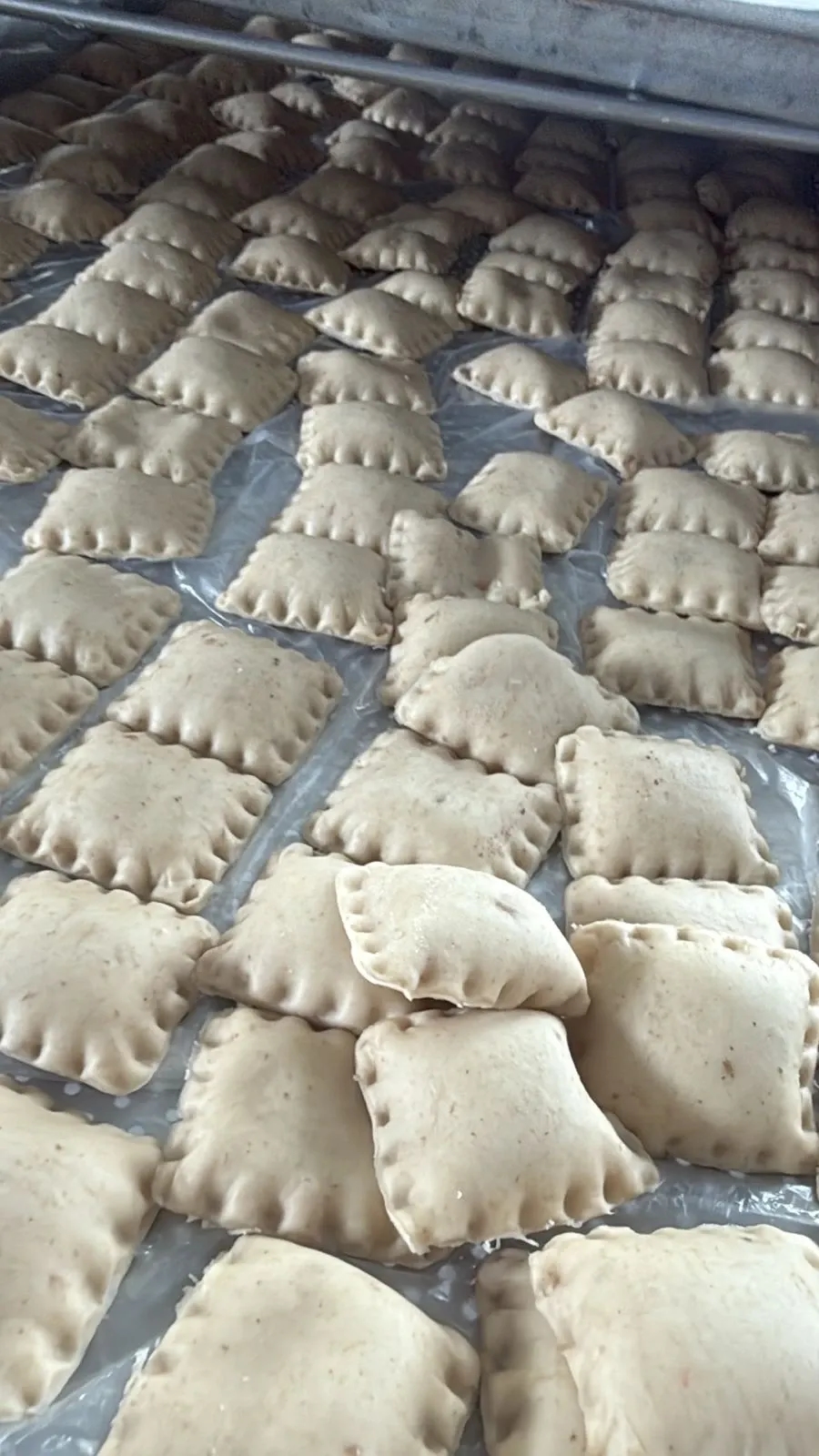 formadora-modeladora-recheadora-dosadora-de-esteira-para-massas-laminadas-salgados-pasteis-panitec-lynea-1