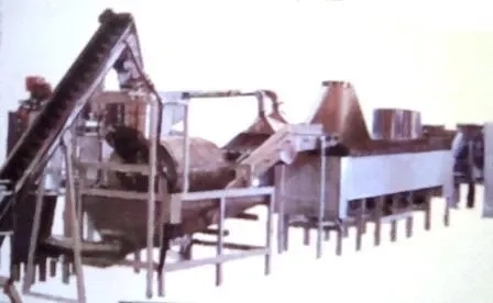 linha-automatica-de-batata-frita-chips-e-palha