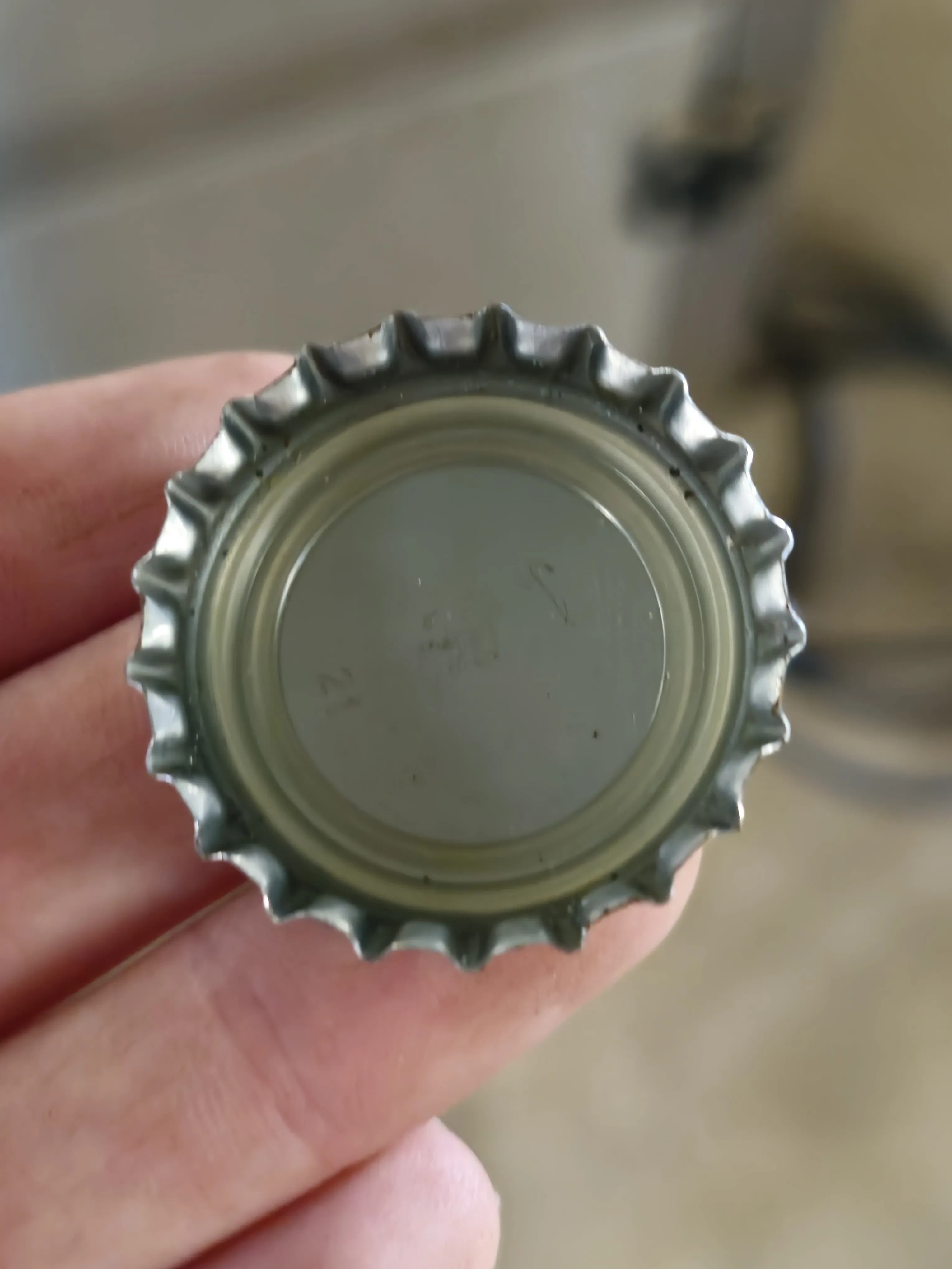 envasadora-tampadora-cerveja-vidro-pet-brabeer