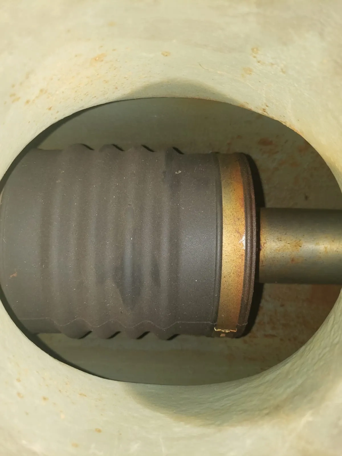 bomba-de-transferencia-helicoidal-marca-nemo-netzsch