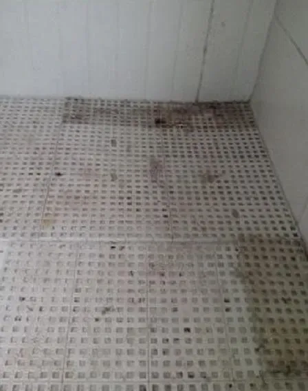 camara-fria-marca-jama