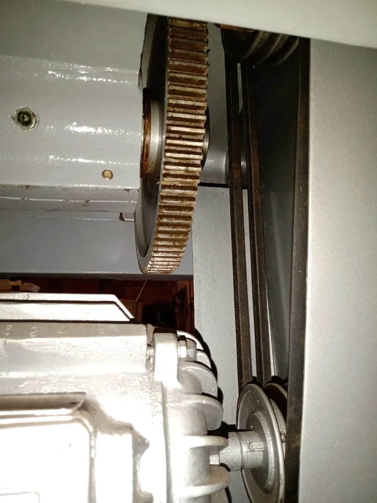 cubetadeira-industrial-de-frutas-marca-bertuzzi