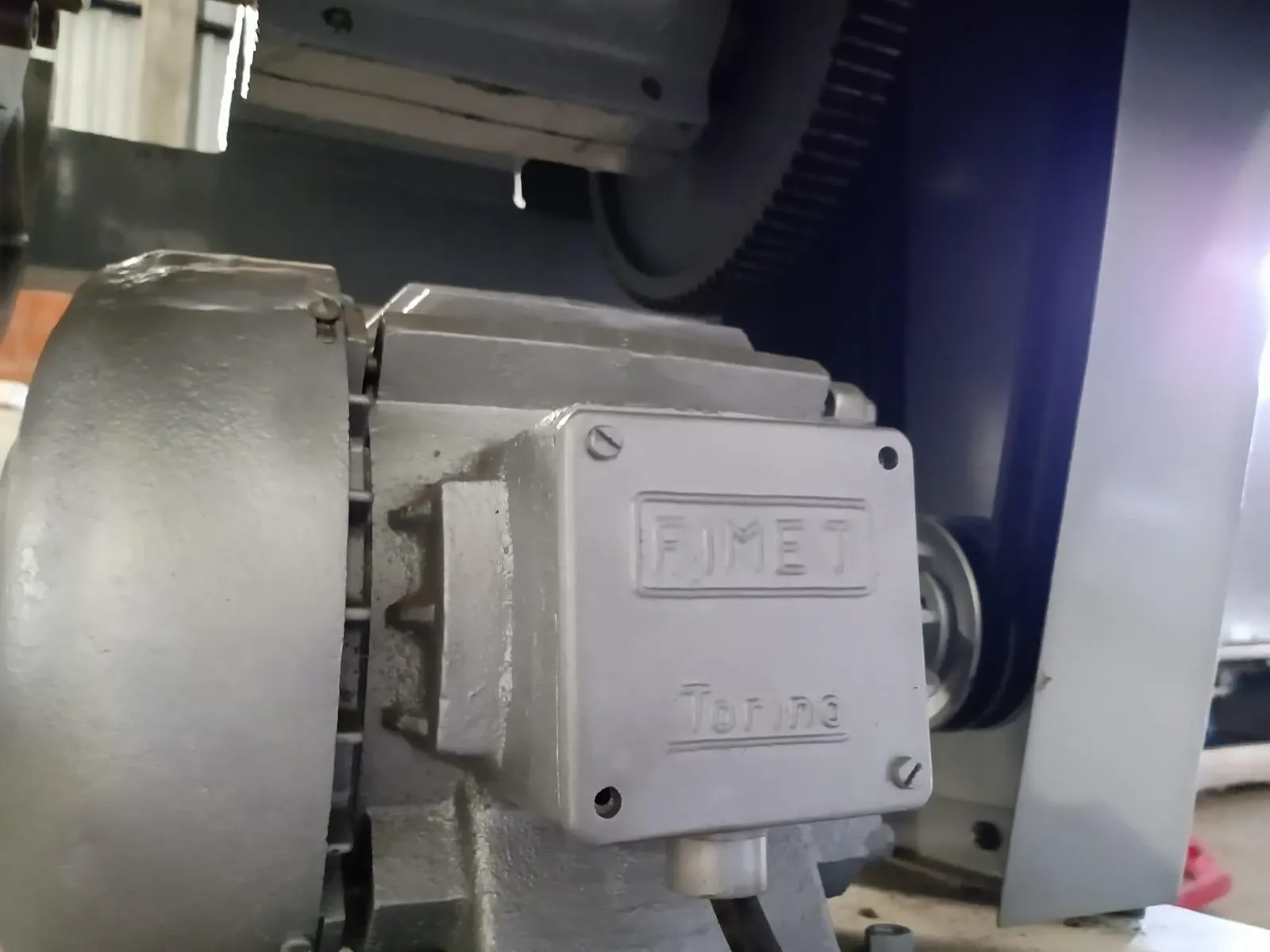 cubetadeira-industrial-de-frutas-marca-bertuzzi