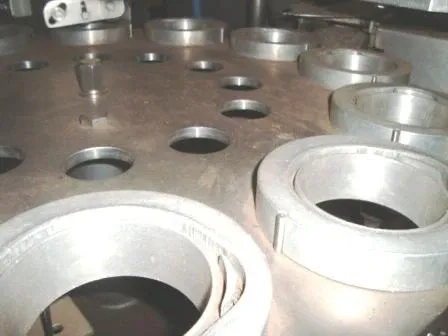 envasadora-rotativa-para-pastosos-marca-bisignano