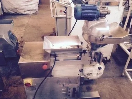produtora-de-nhoque-marca-indiana