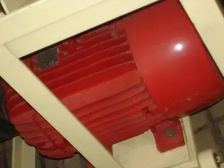 MOEDOR DE AMENDOIM