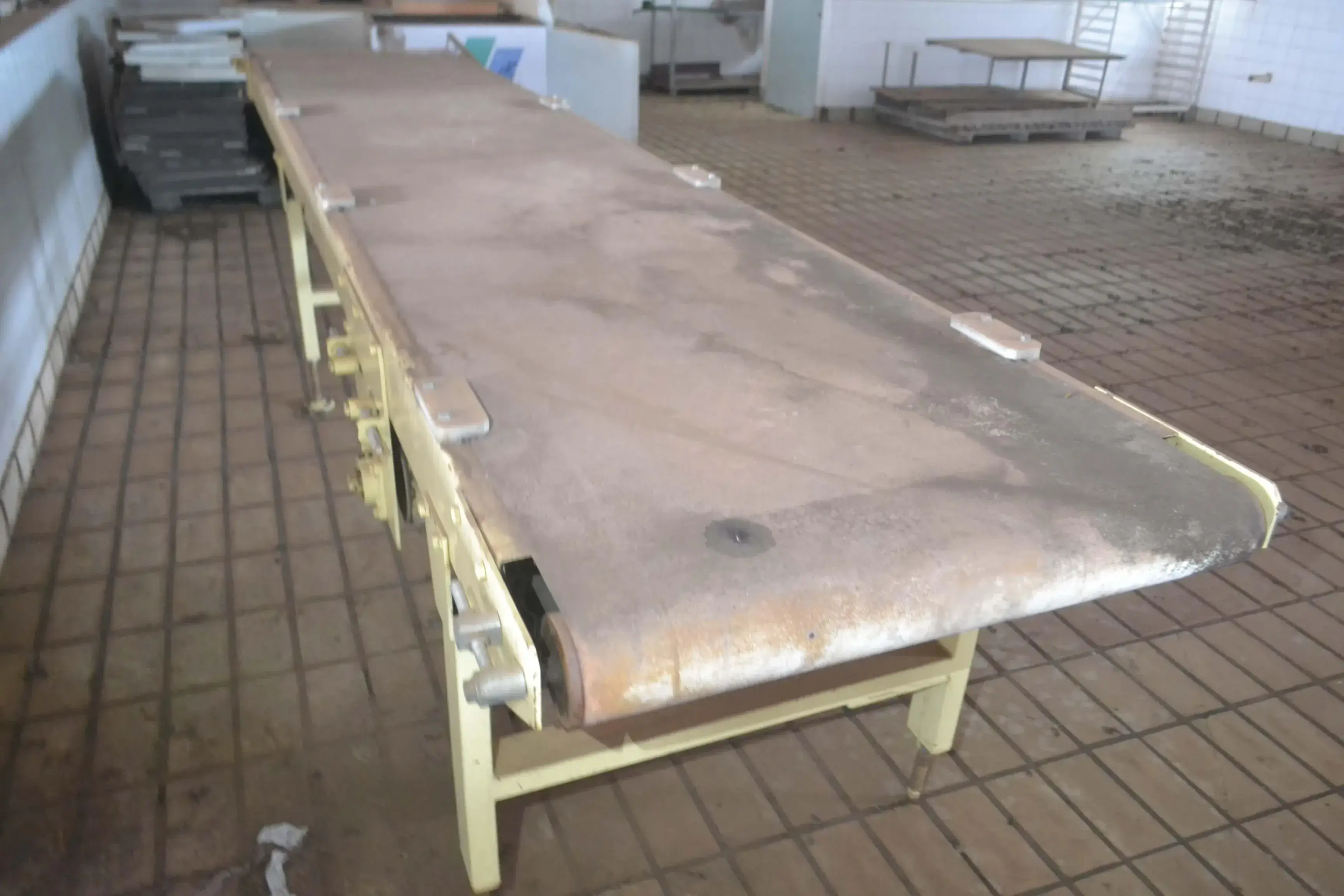 ESTEIRA TRANSPORTADORA 850 X 4200 MM