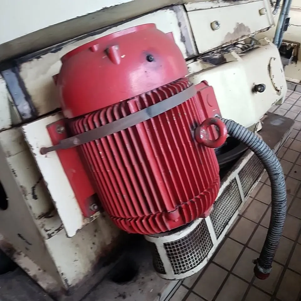 concha-de-chocolates-965