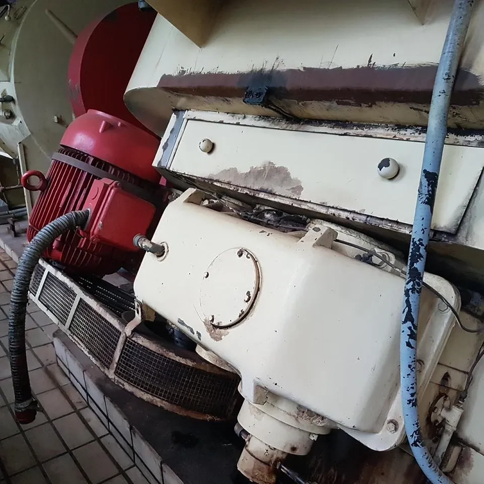 concha-de-chocolates-965