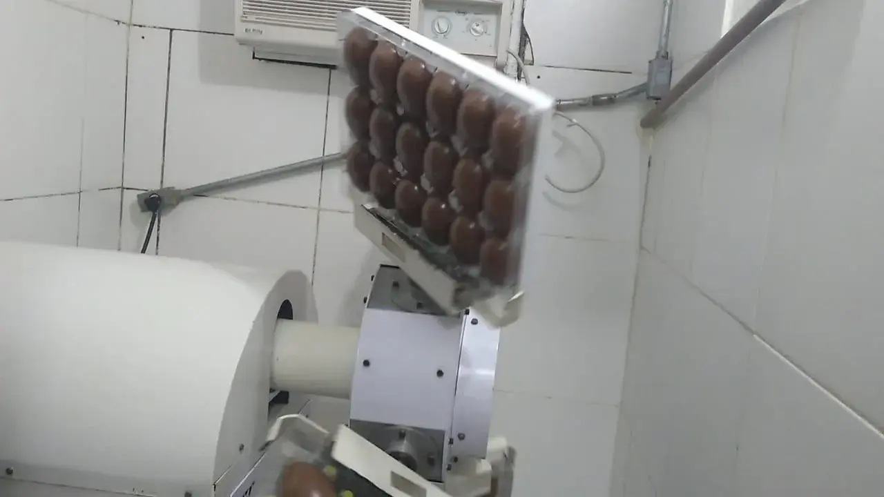 CENTRÍFUGA DE CHOCOLATES 4 LIVROS MARCA PIRÓG