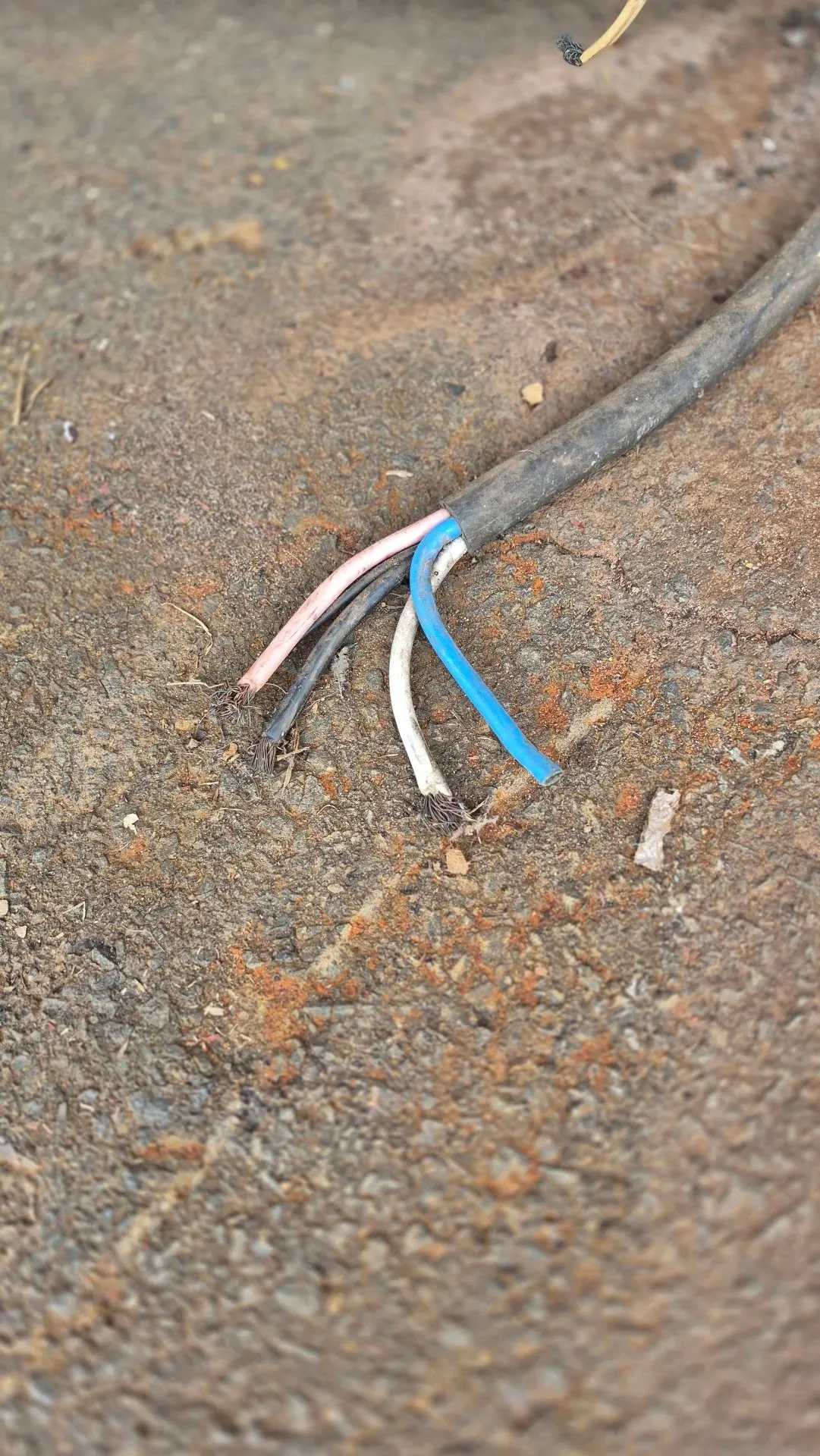 puxador-de-bala-capacidade-60-kg-por-batelada-marca-maicom-maras