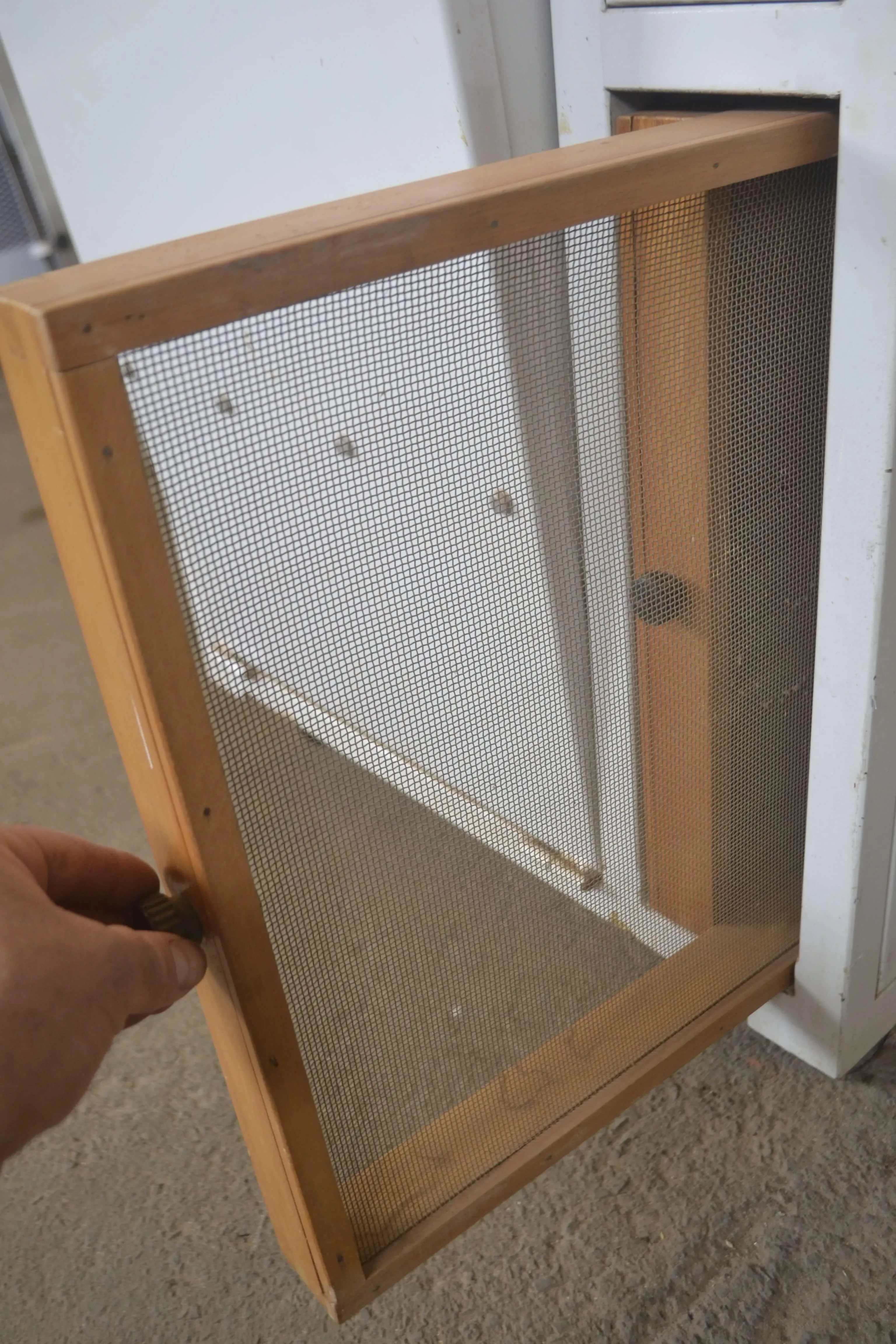 masseira-esfolhadeira-e-extrusora-capacidade-25-kg-hora-marca-pama-roma