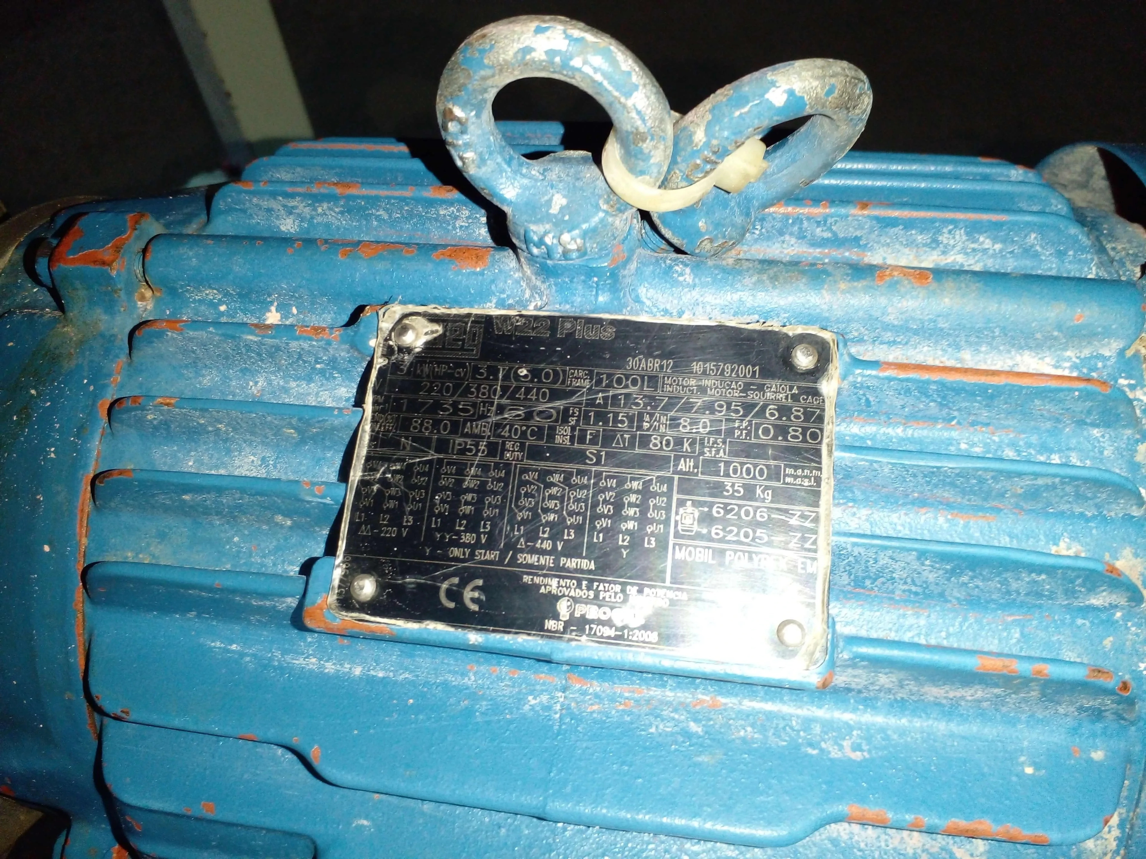 compactadeira-com-masseira-continua-capacidade-150-kg-h-marca-braslaer