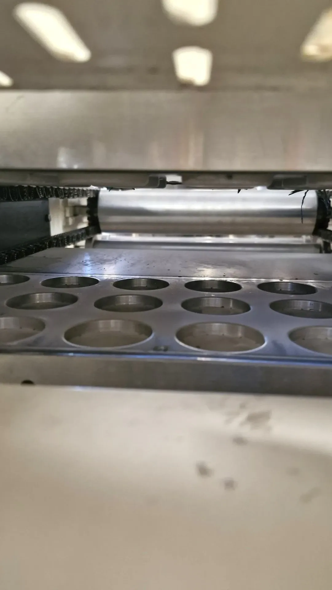 termoformadora-embaladora-blister-selovac-mod-220-plus