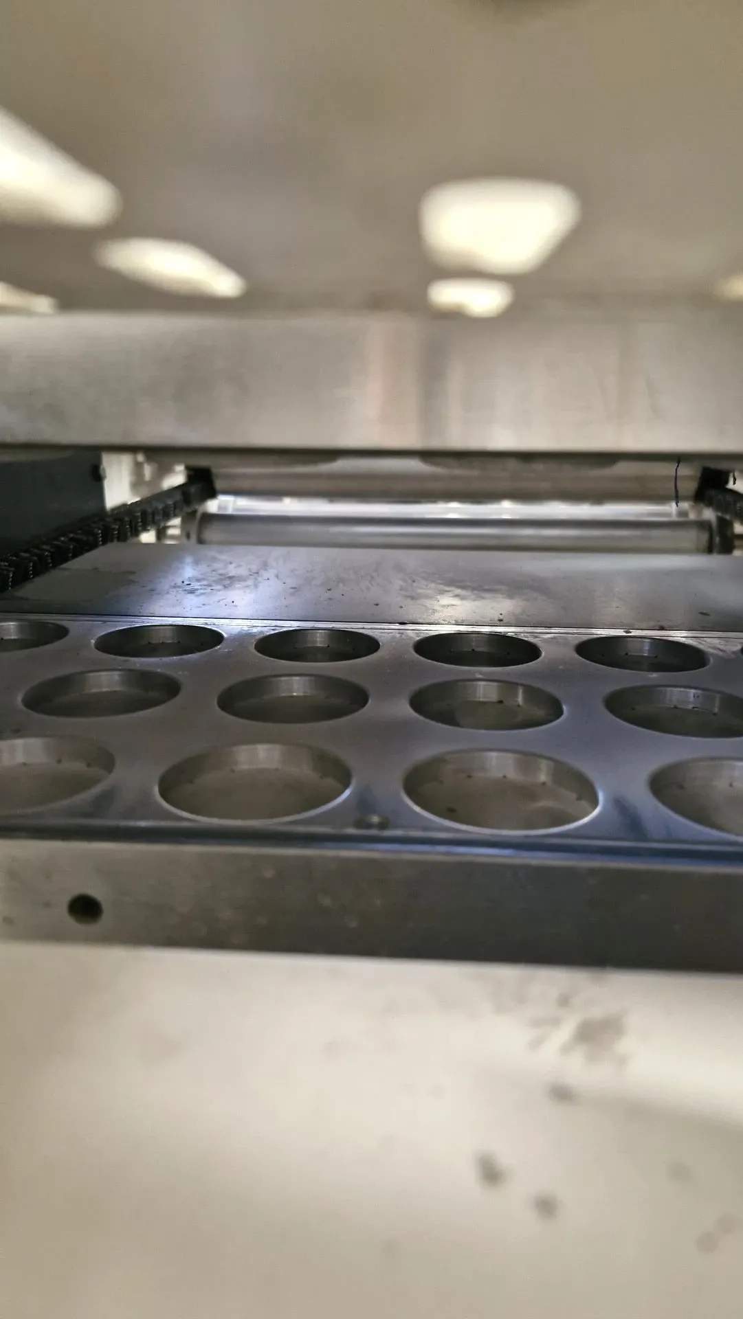 termoformadora-embaladora-blister-selovac-mod-220-plus