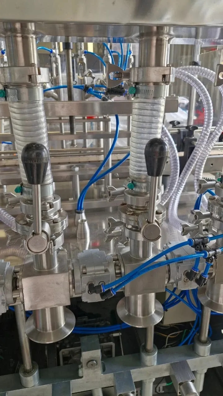 envasadora-linear-com-6-pistoes-marca-nelpas