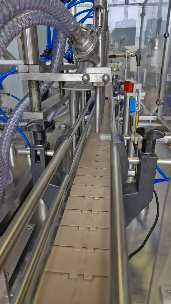 envasadora-linear-com-6-pistoes-marca-nelpas
