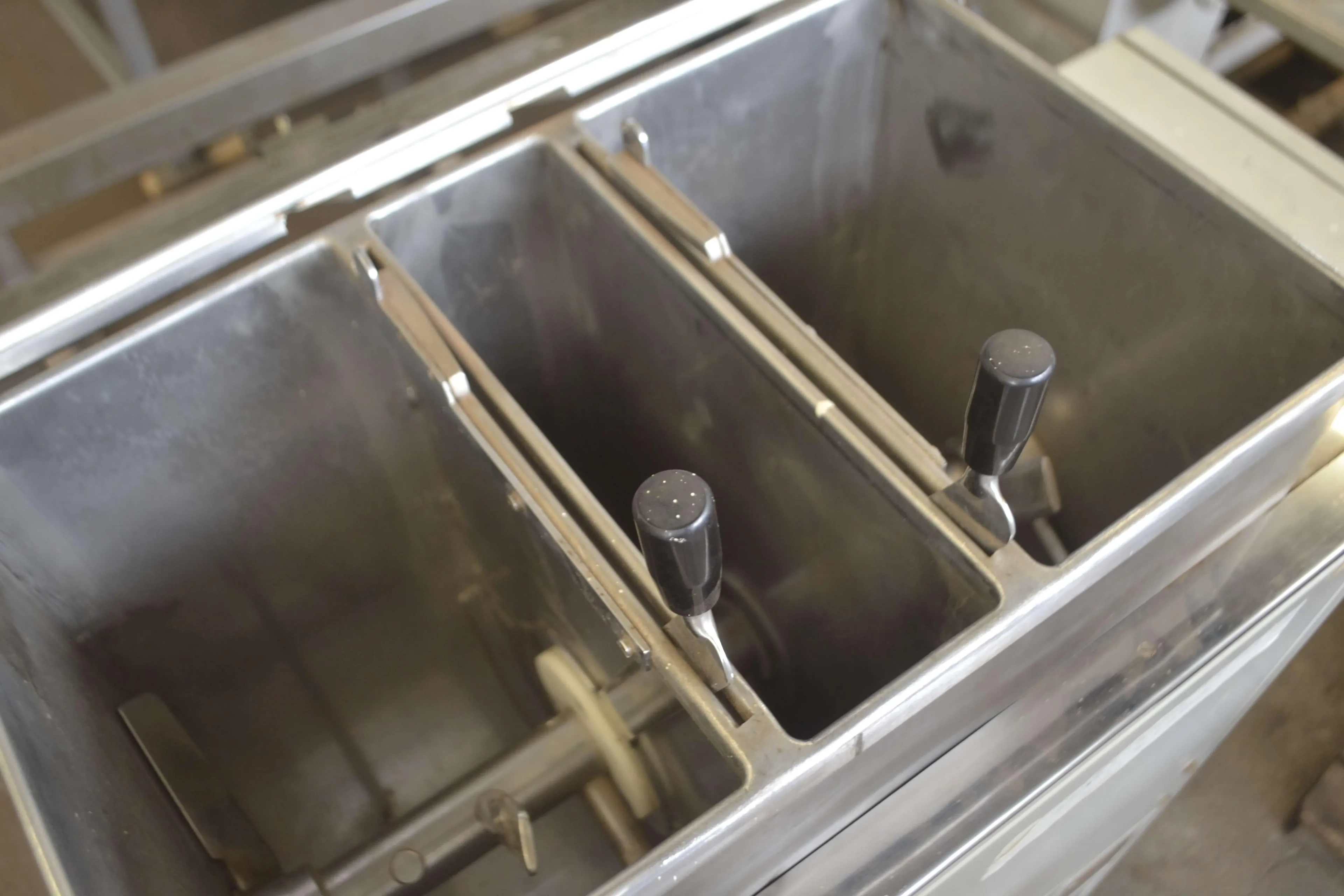 masseira-esfolhadeira-e-extrusora-capacidade-25-kg-hora-marca-pama-roma